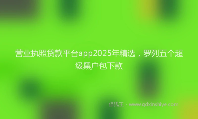 营业执照贷款平台app2025年精选，罗列五个超级黑户包下款