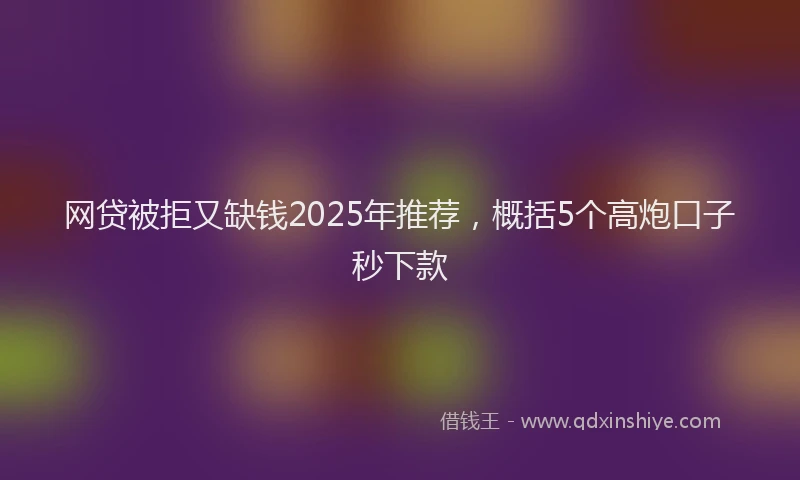 网贷被拒又缺钱2025年推荐，概括5个高炮口子秒下款