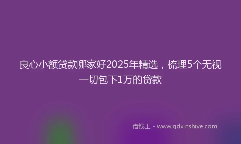 良心小额贷款哪家好2025年精选，梳理5个无视一切包下1万的贷款