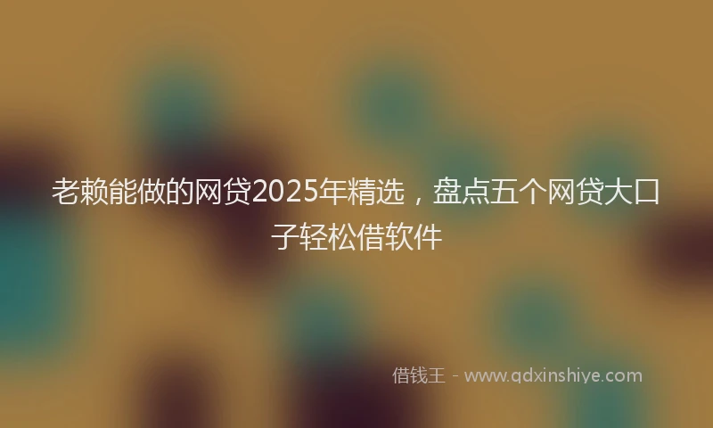 老赖能做的网贷2025年精选，盘点五个网贷大口子轻松借软件