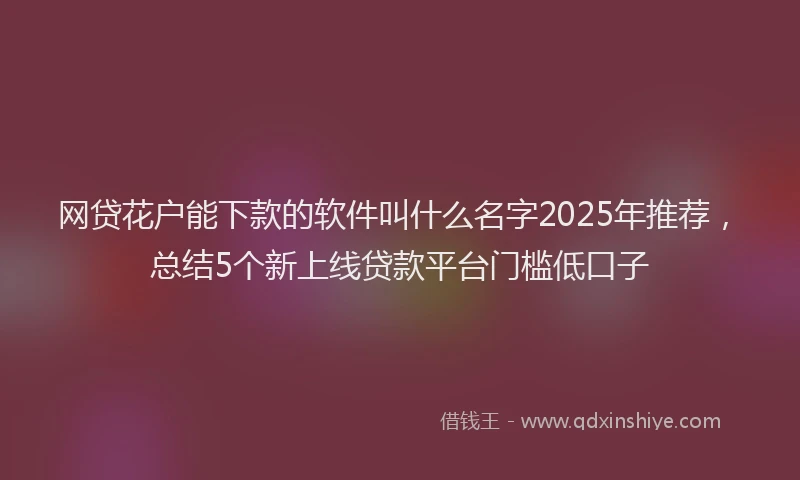 网贷花户能下款的软件叫什么名字2025年推荐，总结5个新上线贷款平台门槛低口子