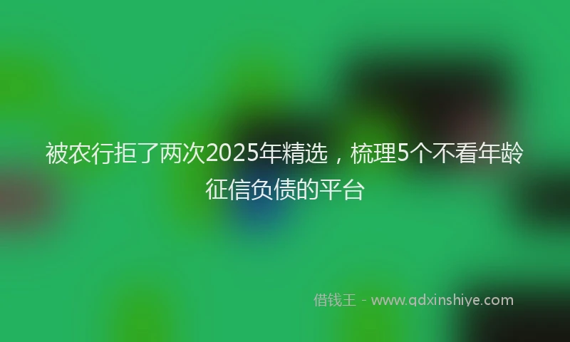 被农行拒了两次2025年精选，梳理5个不看年龄征信负债的平台