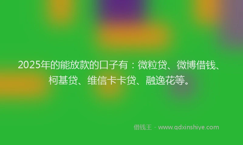 2025年的能放款的口子有：微粒贷、微博借钱、柯基贷、维信卡卡贷、融逸花等。