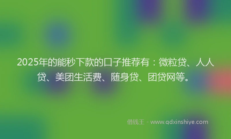 2025年的能秒下款的口子推荐有：微粒贷、人人贷、美团生活费、随身贷、团贷网等。