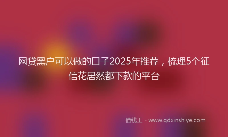 网贷黑户可以做的口子2025年推荐，梳理5个征信花居然都下款的平台