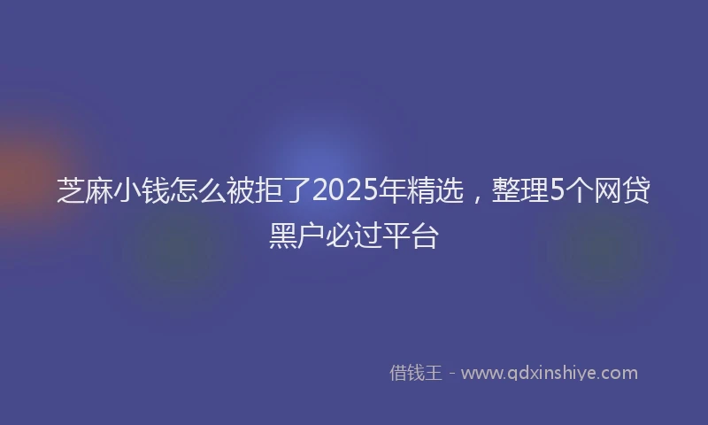 芝麻小钱怎么被拒了2025年精选，整理5个网贷黑户必过平台