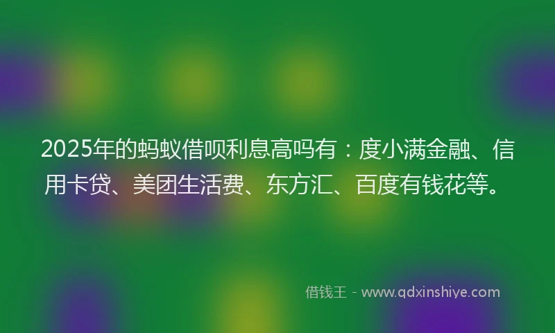 2025年的蚂蚁借呗利息高吗有：度小满金融、信用卡贷、美团生活费、东方汇、百度有钱花等。