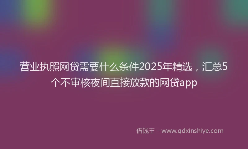 营业执照网贷需要什么条件2025年精选，汇总5个不审核夜间直接放款的网贷app