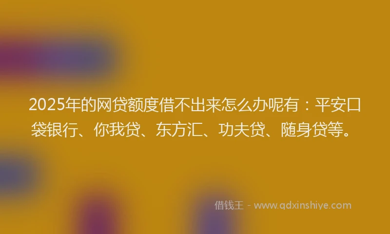 2025年的网贷额度借不出来怎么办呢有：平安口袋银行、你我贷、东方汇、功夫贷、随身贷等。