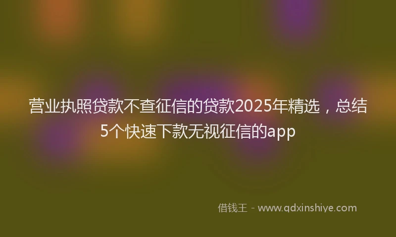 营业执照贷款不查征信的贷款2025年精选，总结5个快速下款无视征信的app