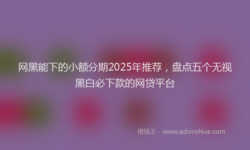 网黑能下的小额分期2025年推荐，盘点五个无视黑白必下款的网贷平台