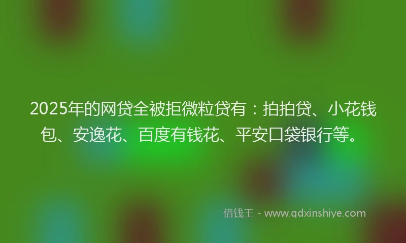 2025年的网贷全被拒微粒贷有：拍拍贷、小花钱包、安逸花、百度有钱花、平安口袋银行等。