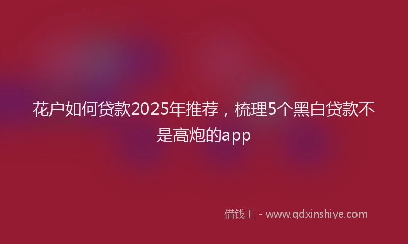 花户如何贷款2025年推荐，梳理5个黑白贷款不是高炮的app
