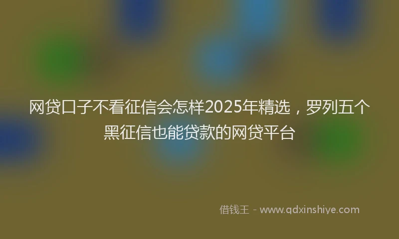 网贷口子不看征信会怎样2025年精选，罗列五个黑征信也能贷款的网贷平台
