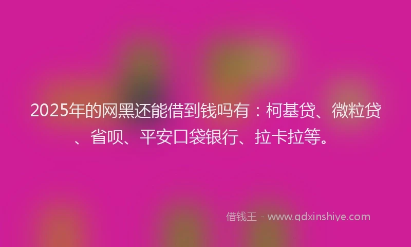 2025年的网黑还能借到钱吗有：柯基贷、微粒贷、省呗、平安口袋银行、拉卡拉等。