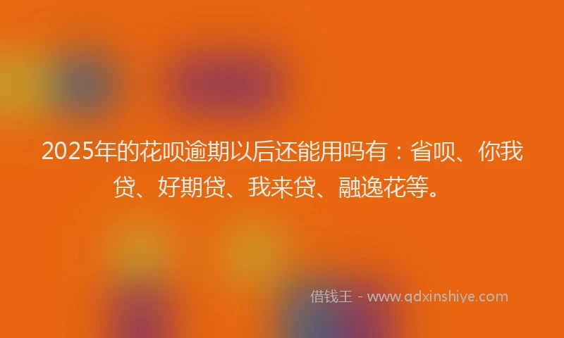 2025年的花呗逾期以后还能用吗有：省呗、你我贷、好期贷、我来贷、融逸花等。