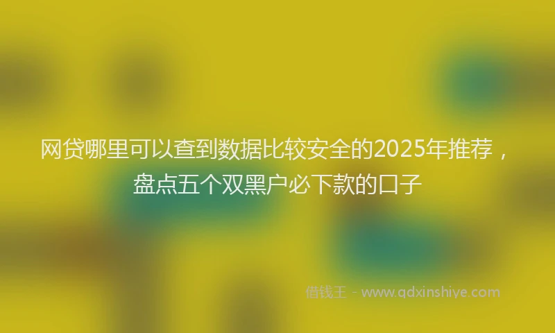 网贷哪里可以查到数据比较安全的2025年推荐，盘点五个双黑户必下款的口子