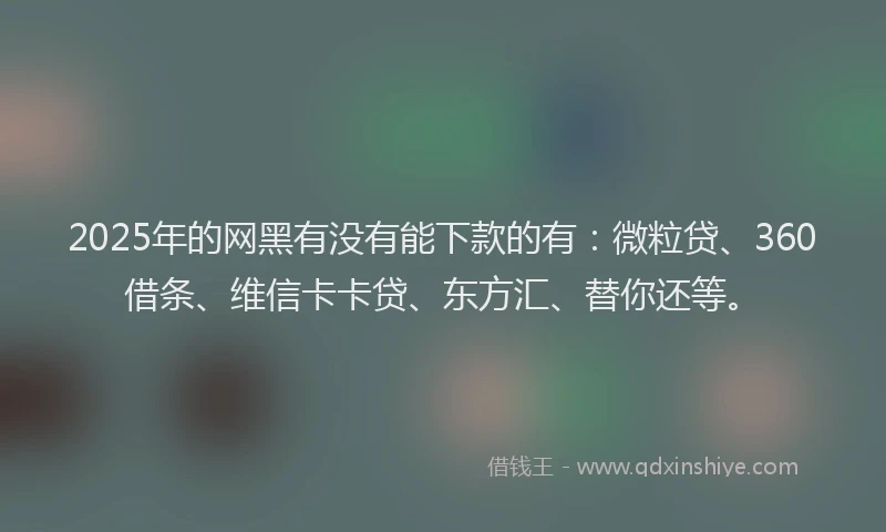 2025年的网黑有没有能下款的有：微粒贷、360借条、维信卡卡贷、东方汇、替你还等。