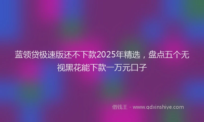 蓝领贷极速版还不下款2025年精选，盘点五个无视黑花能下款一万元口子