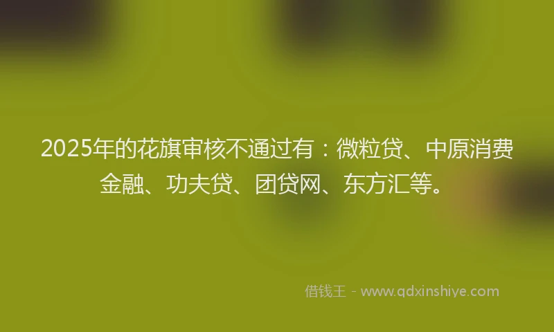 2025年的花旗审核不通过有：微粒贷、中原消费金融、功夫贷、团贷网、东方汇等。