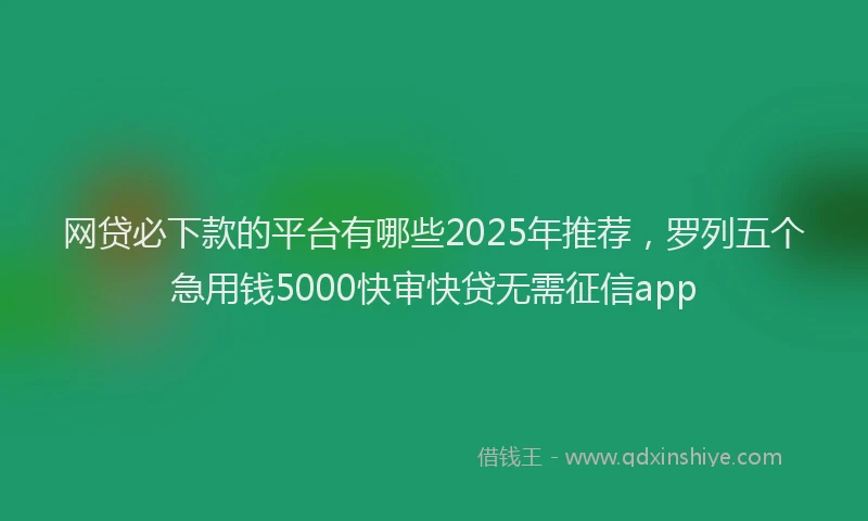 网贷必下款的平台有哪些2025年推荐，罗列五个急用钱5000快审快贷无需征信app