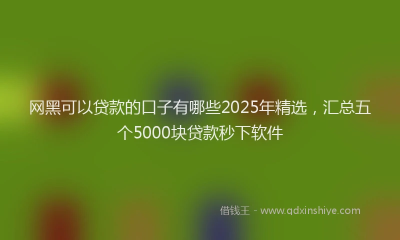 网黑可以贷款的口子有哪些2025年精选，汇总五个5000块贷款秒下软件