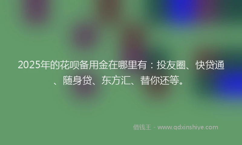 2025年的花呗备用金在哪里有：投友圈、快贷通、随身贷、东方汇、替你还等。
