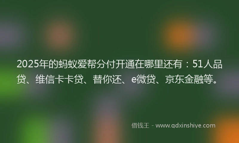 2025年的蚂蚁爱帮分付开通在哪里还有：51人品贷、维信卡卡贷、替你还、e微贷、京东金融等。