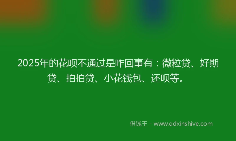 2025年的花呗不通过是咋回事有：微粒贷、好期贷、拍拍贷、小花钱包、还呗等。