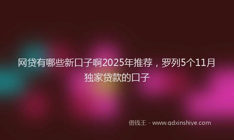 网贷有哪些新口子啊2025年推荐，罗列5个11月独家贷款的口子