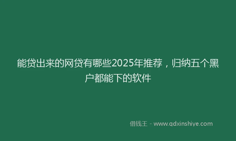 能贷出来的网贷有哪些2025年推荐，归纳五个黑户都能下的软件