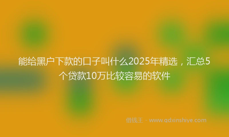 能给黑户下款的口子叫什么2025年精选，汇总5个贷款10万比较容易的软件