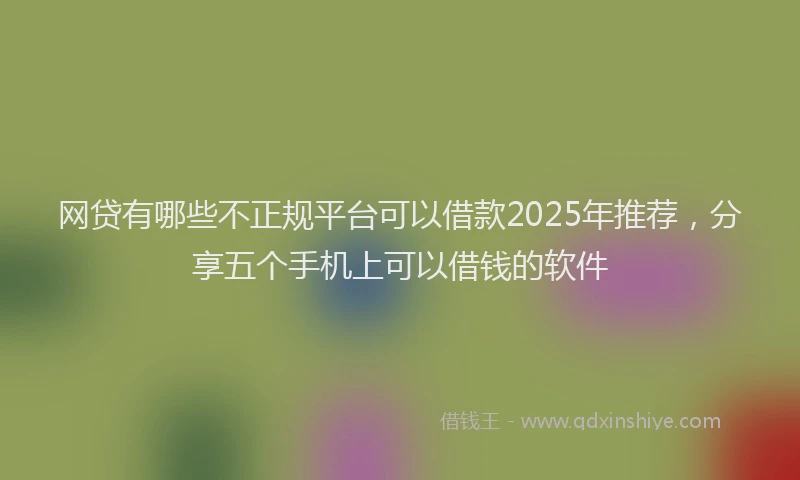 网贷有哪些不正规平台可以借款2025年推荐，分享五个手机上可以借钱的软件