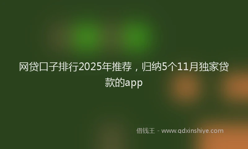 网贷口子排行2025年推荐，归纳5个11月独家贷款的app