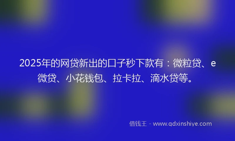 2025年的网贷新出的口子秒下款有：微粒贷、e微贷、小花钱包、拉卡拉、滴水贷等。
