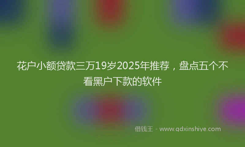 花户小额贷款三万19岁2025年推荐，盘点五个不看黑户下款的软件