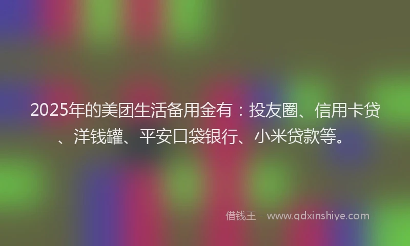 2025年的美团生活备用金有：投友圈、信用卡贷、洋钱罐、平安口袋银行、小米贷款等。