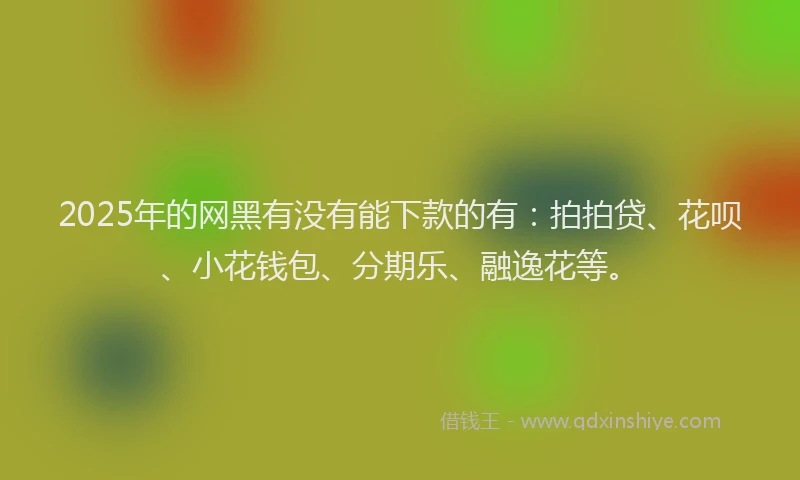 2025年的网黑有没有能下款的有：拍拍贷、花呗、小花钱包、分期乐、融逸花等。