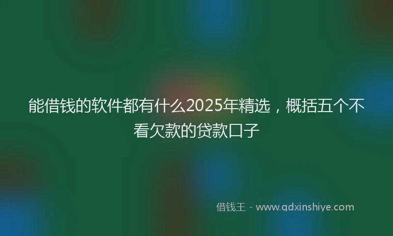 能借钱的软件都有什么2025年精选，概括五个不看欠款的贷款口子