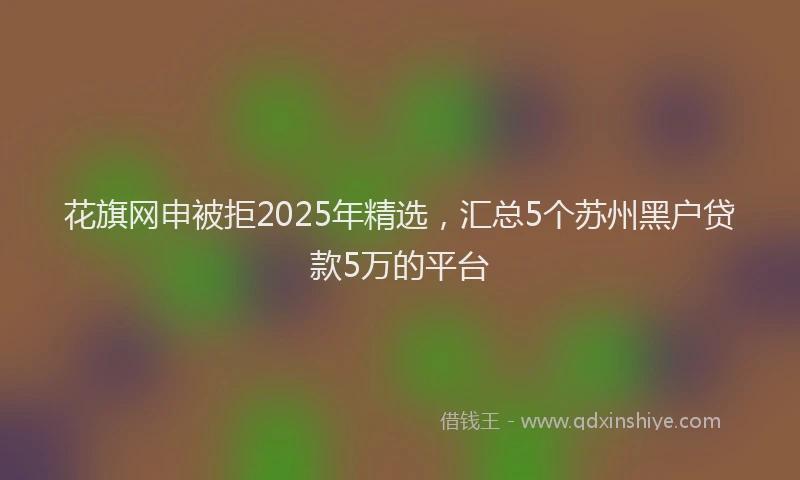 花旗网申被拒2025年精选，汇总5个苏州黑户贷款5万的平台