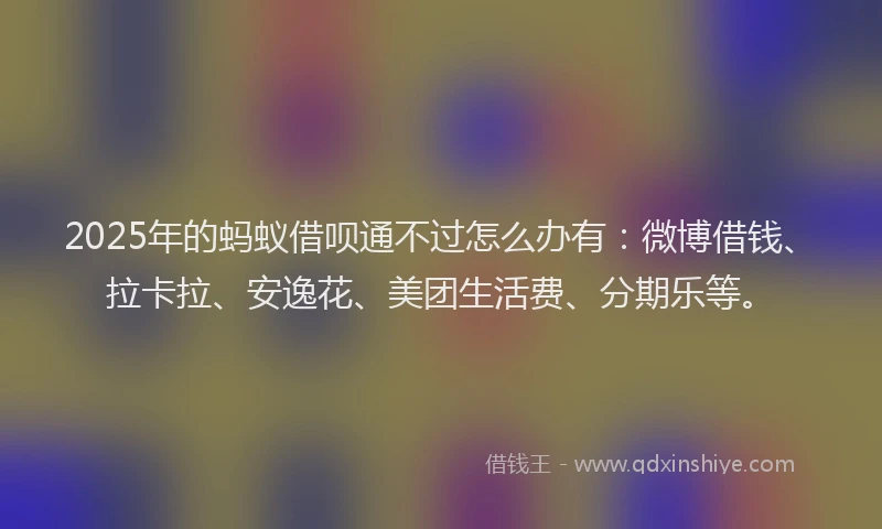 2025年的蚂蚁借呗通不过怎么办有：微博借钱、拉卡拉、安逸花、美团生活费、分期乐等。