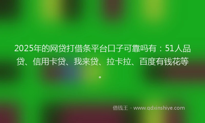 2025年的网贷打借条平台口子可靠吗有：51人品贷、信用卡贷、我来贷、拉卡拉、百度有钱花等。