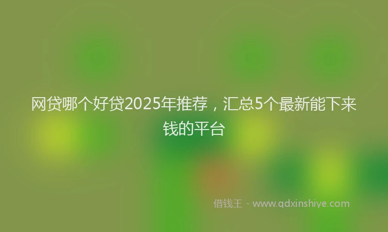 网贷哪个好贷2025年推荐，汇总5个最新能下来钱的平台