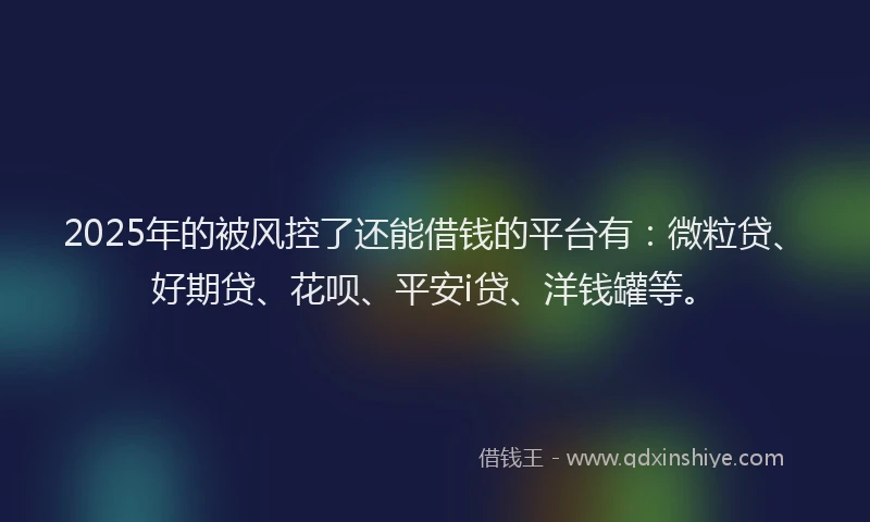2025年的被风控了还能借钱的平台有：微粒贷、好期贷、花呗、平安i贷、洋钱罐等。