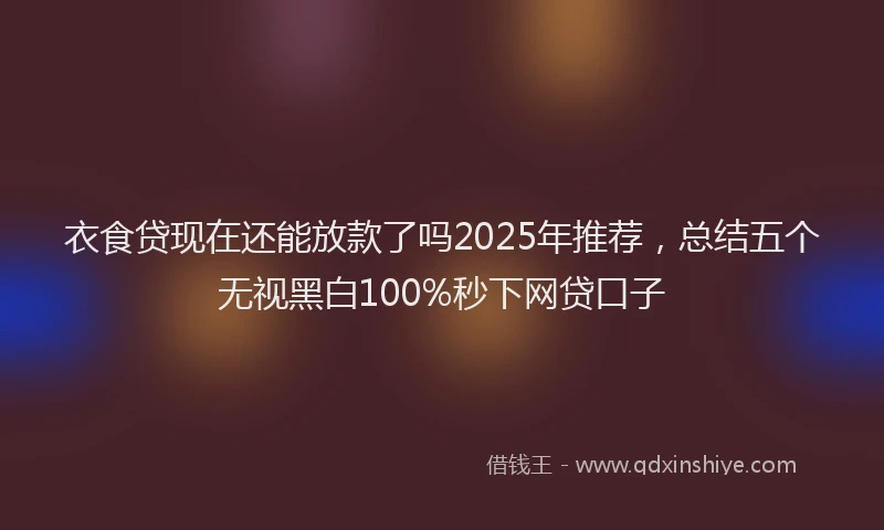 衣食贷现在还能放款了吗2025年推荐，总结五个无视黑白100%秒下网贷口子