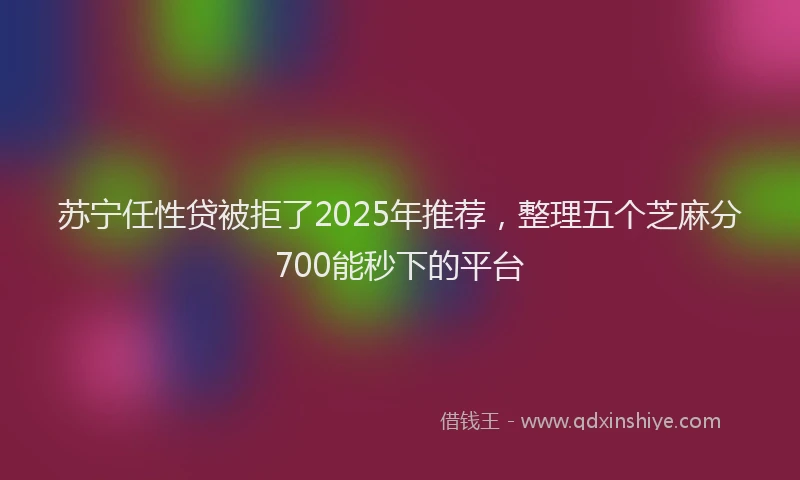 苏宁任性贷被拒了2025年推荐，整理五个芝麻分700能秒下的平台