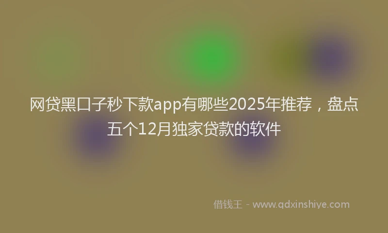 网贷黑口子秒下款app有哪些2025年推荐，盘点五个12月独家贷款的软件