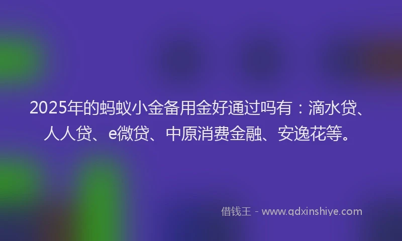 2025年的蚂蚁小金备用金好通过吗有：滴水贷、人人贷、e微贷、中原消费金融、安逸花等。