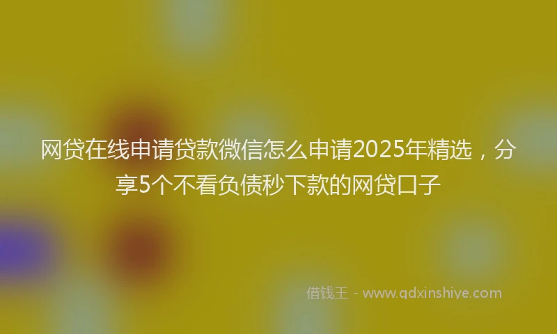 网贷在线申请贷款微信怎么申请2025年精选，分享5个不看负债秒下款的网贷口子