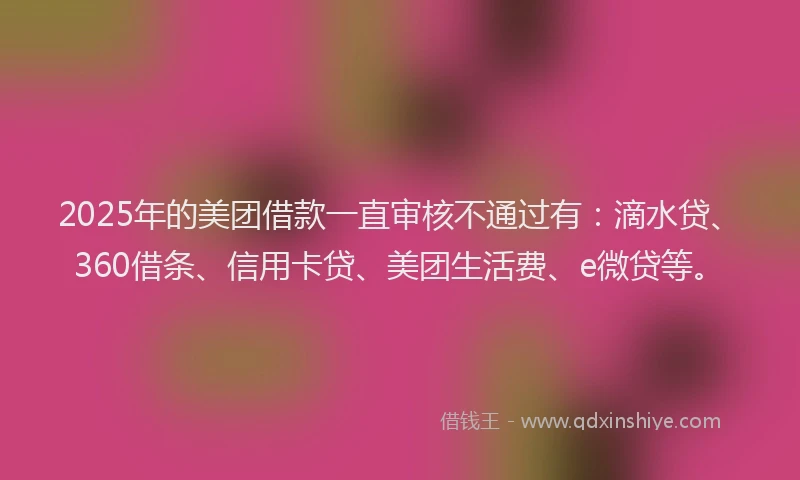 2025年的美团借款一直审核不通过有：滴水贷、360借条、信用卡贷、美团生活费、e微贷等。